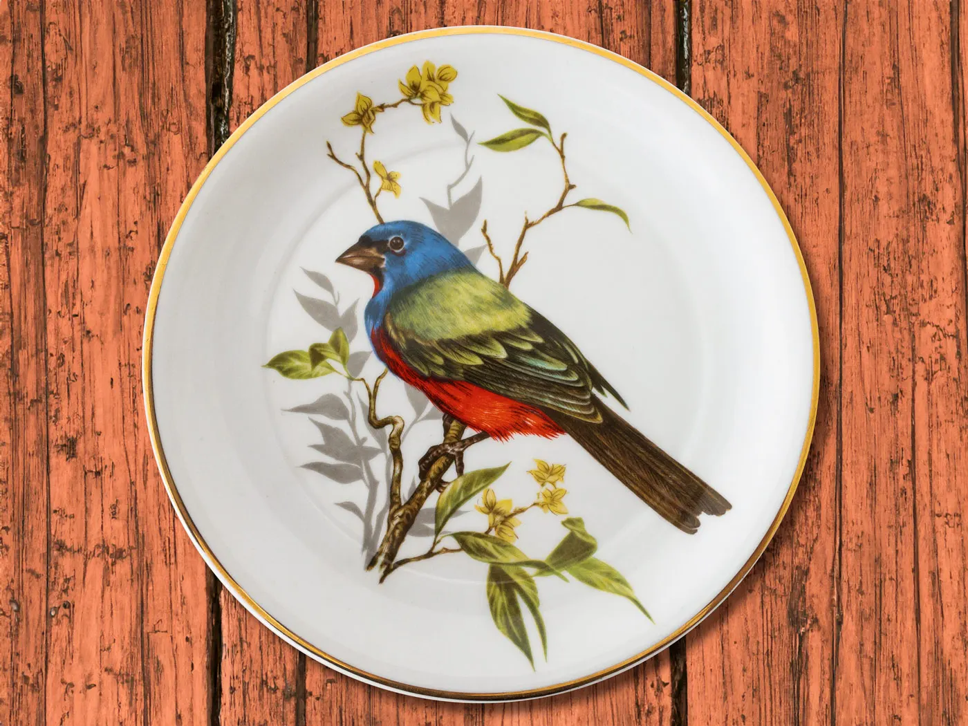 Prato de porcelana decorado com pássaro colorido