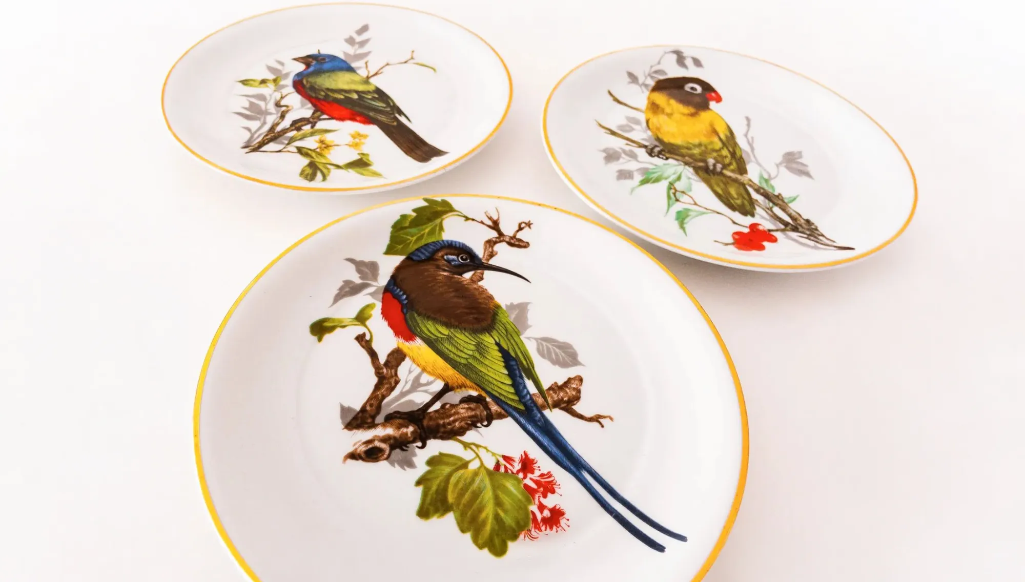 Pratos de porcelana decorados com pássaros exóticos