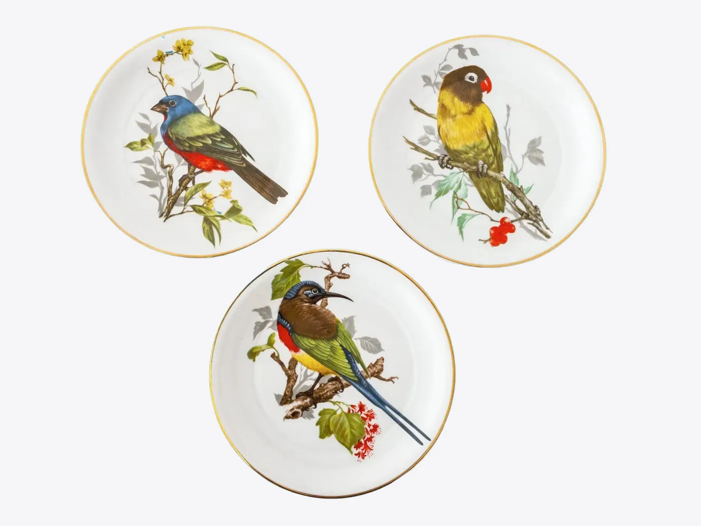 Três pratos de porcelana decorados com pássaros