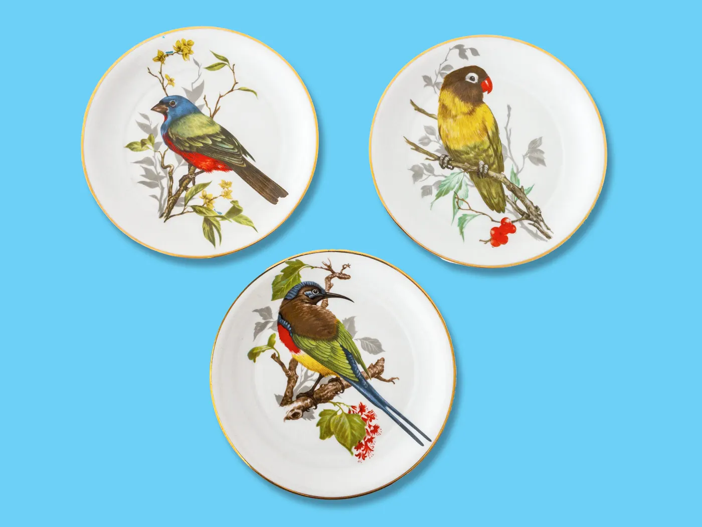 Três pratos de porcelana decorados com pássaros